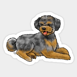 Dog - Aussiedoodle - Blue Merle Sticker